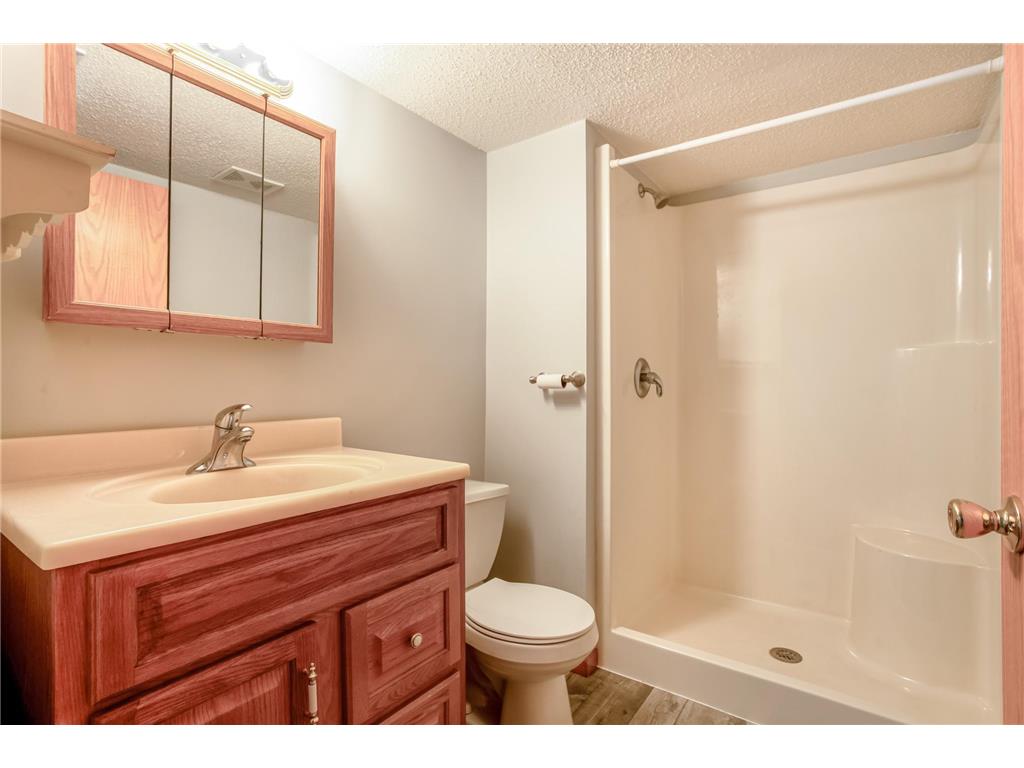 15850 Zumbrota Street NE Ham Lake MN 55304 7060692 image43