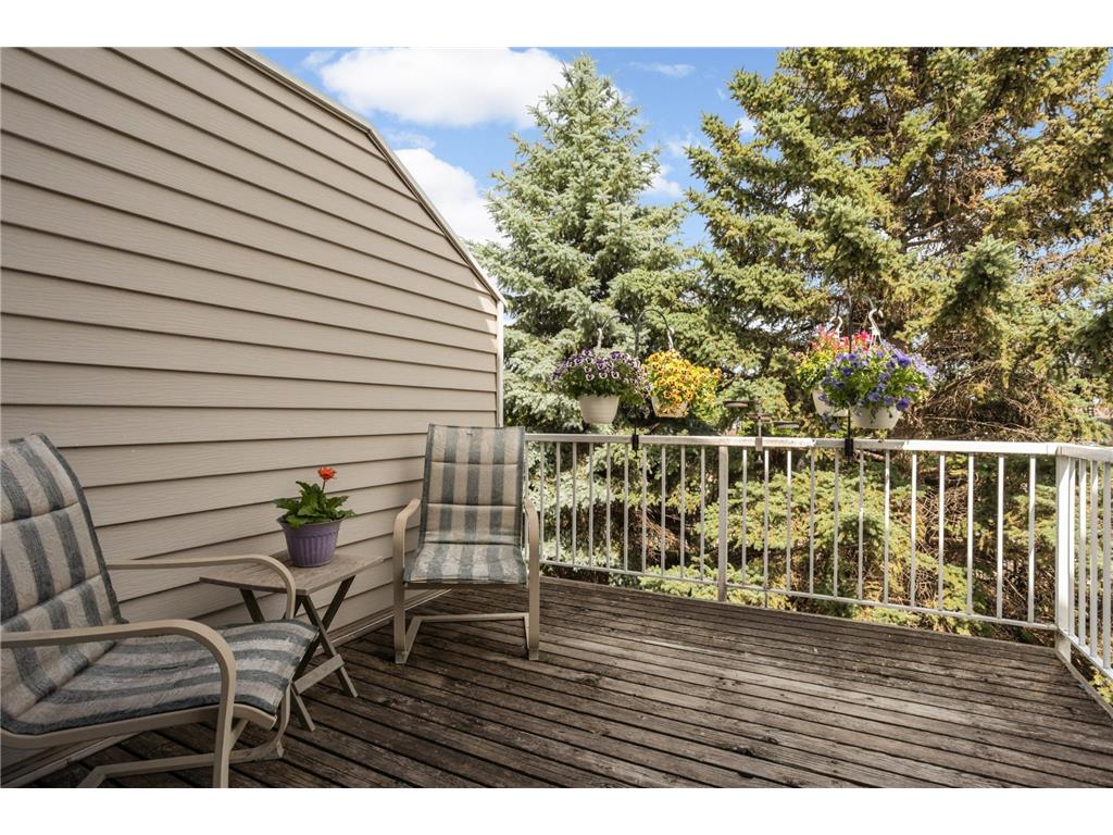15859 Gooseberry Way Apple Valley MN 55124 7100388 image17