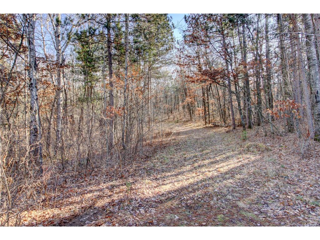 15861 Fortune Drive Park Rapids MN 56470 6824302 image27