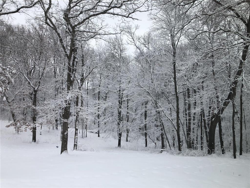 15865 Quality Trail N Scandia MN 55073 7065943 image46