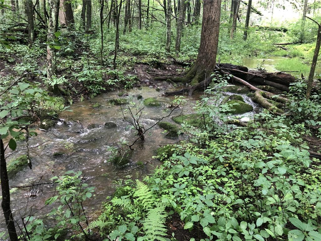 15865 Quality Trail N Scandia MN 55073 7065943 image49