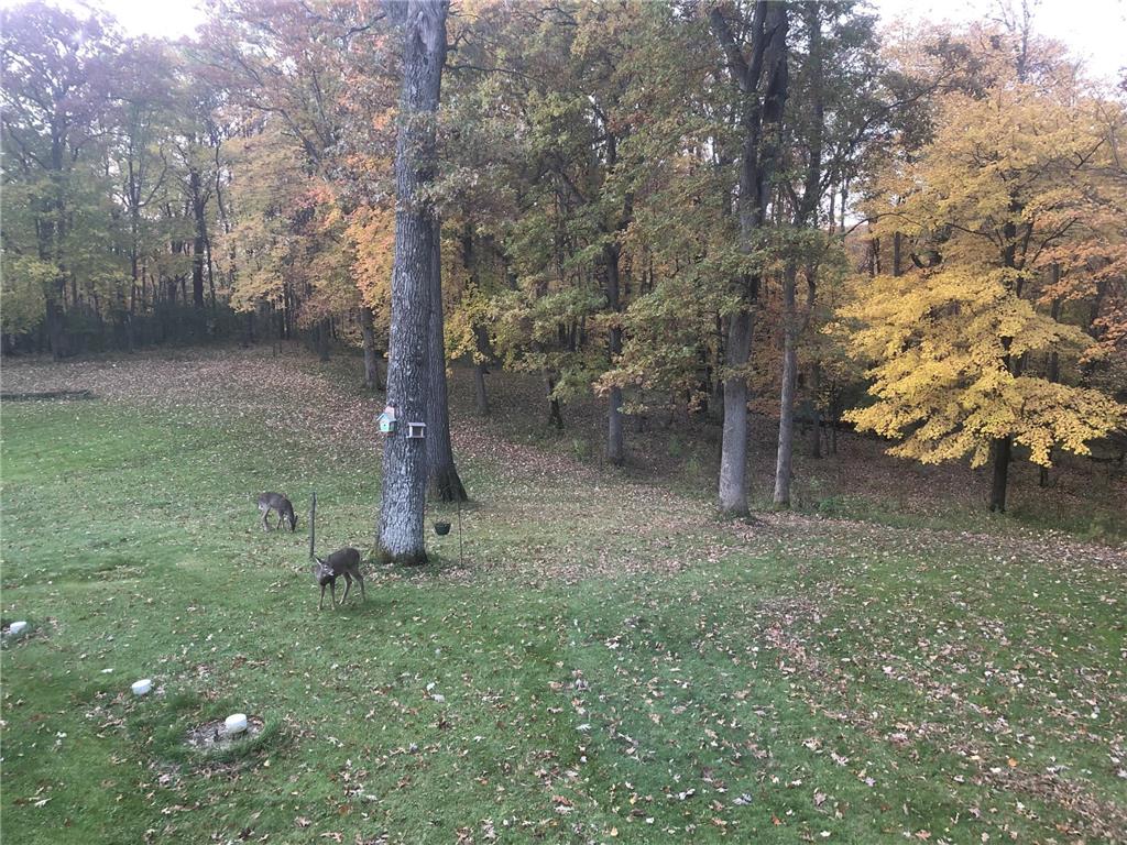 15865 Quality Trail N Scandia MN 55073 7065943 image54