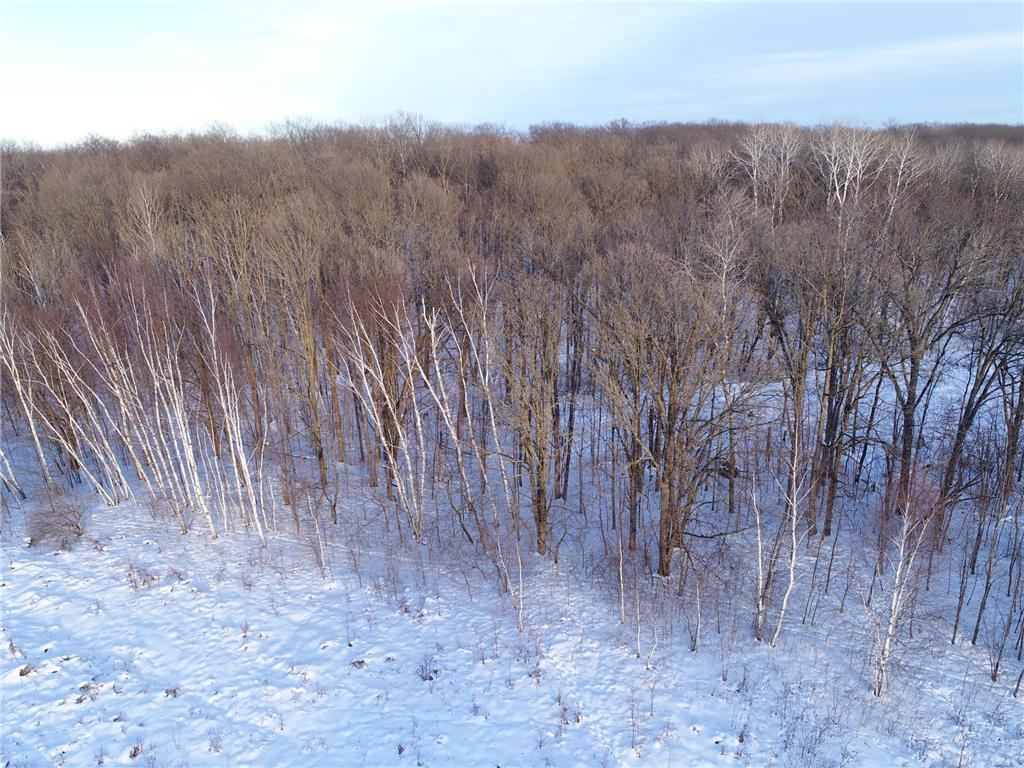 158AC 110th Street Clam Falls WI 54837 7000488 image10