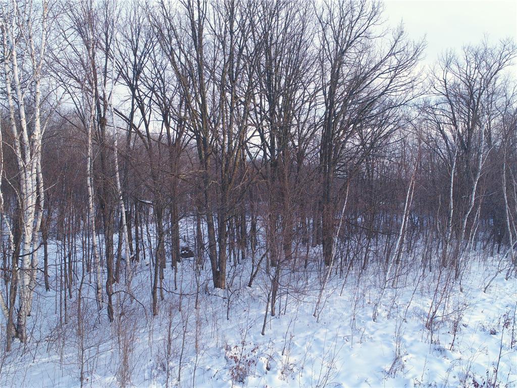 158AC 110th Street Clam Falls WI 54837 7000488 image11