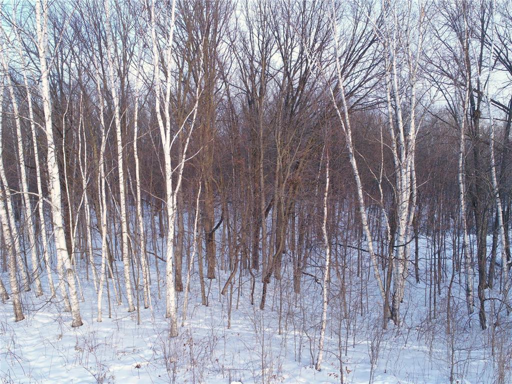 158AC 110th Street Clam Falls WI 54837 7000488 image2