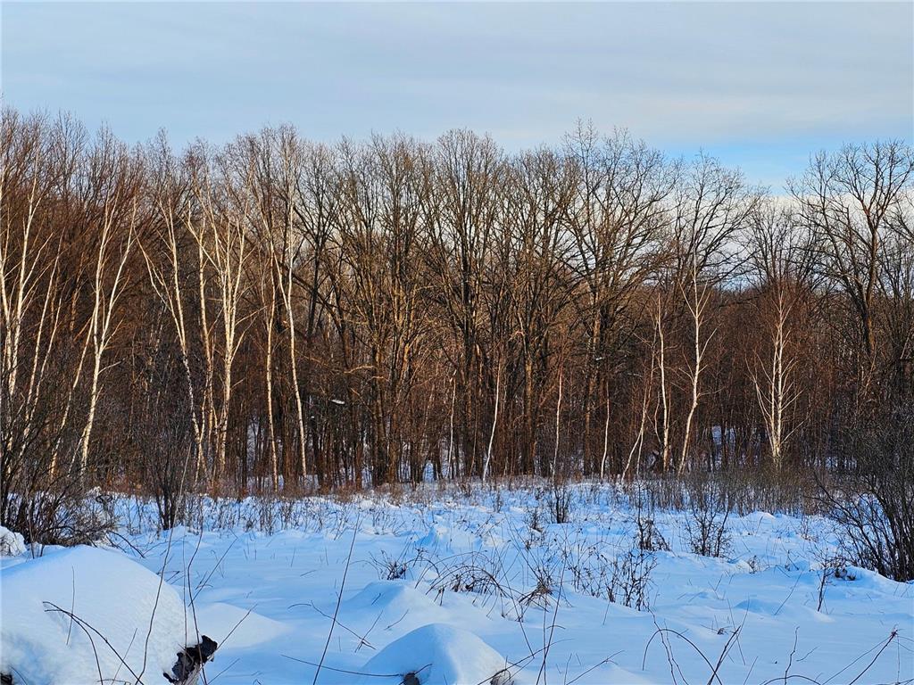 158AC 110th Street Clam Falls WI 54837 7000488 image6