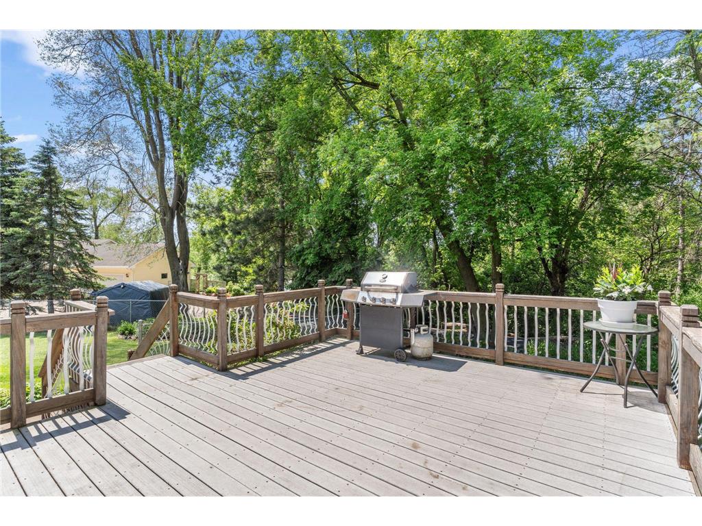 1590 Goose Lake Road Gem Lake MN 55110 7070461 image4