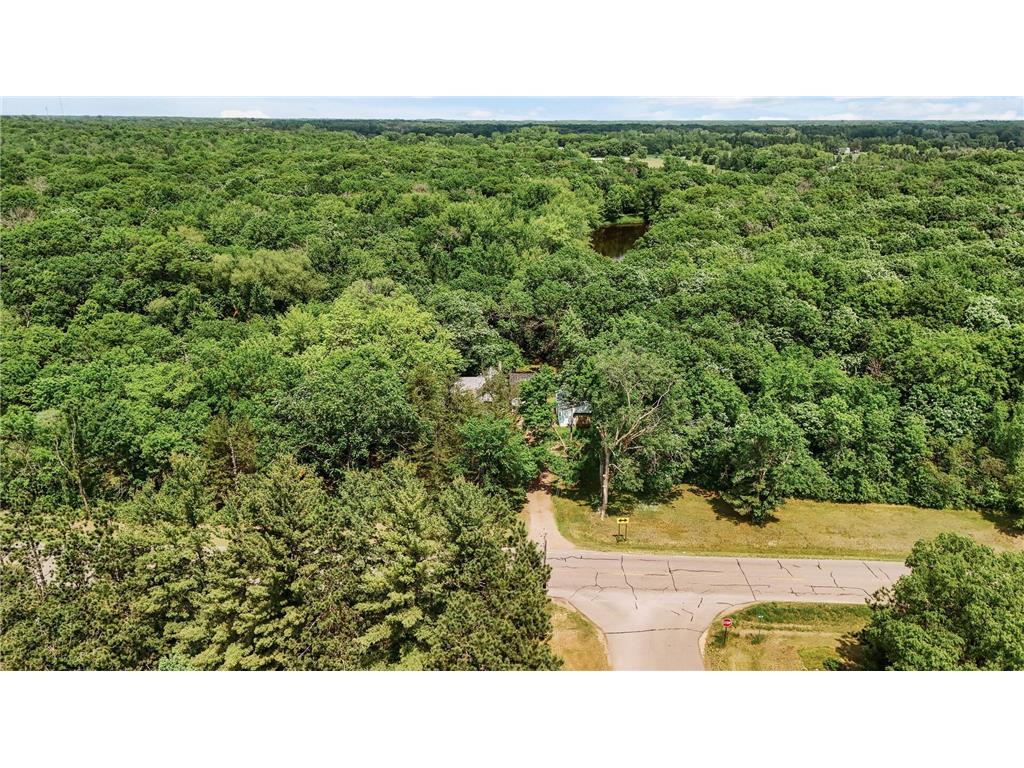 15910 201st Avenue NW Big Lake Twp MN 55330 - Elk River 6721517 image30