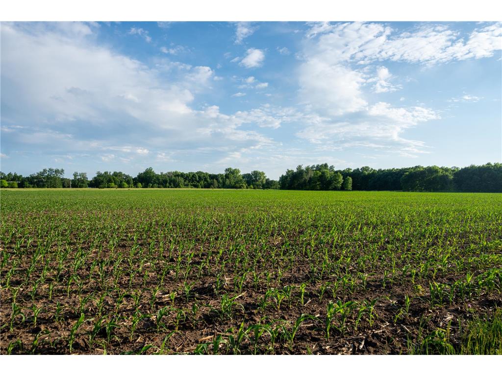 1593 N Pine Cone Road Sartell MN 56377 - Bakers 7092734 image18