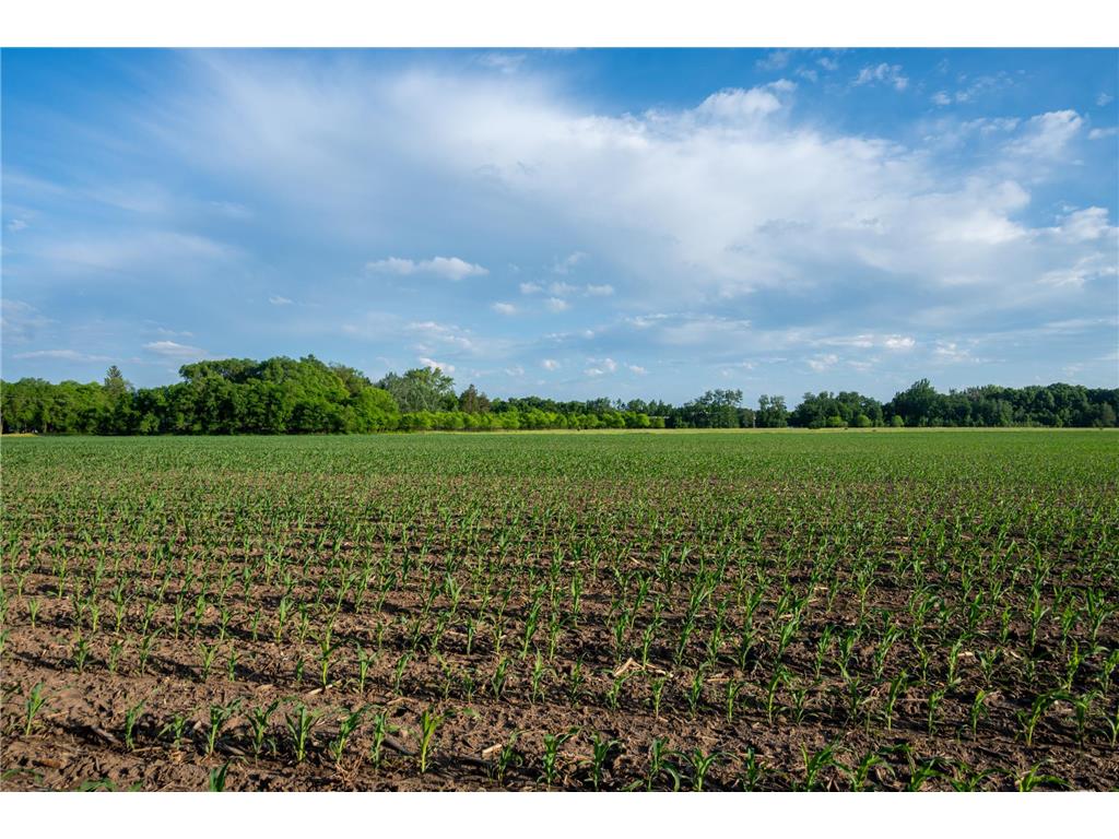 1593 N Pine Cone Road Sartell MN 56377 - Bakers 7092734 image19