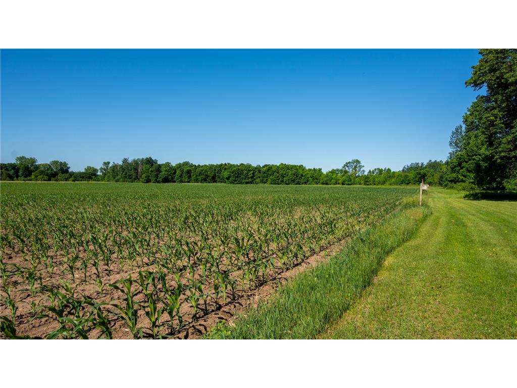 1593 N Pine Cone Road Sartell MN 56377 - Bakers 7092734 image22