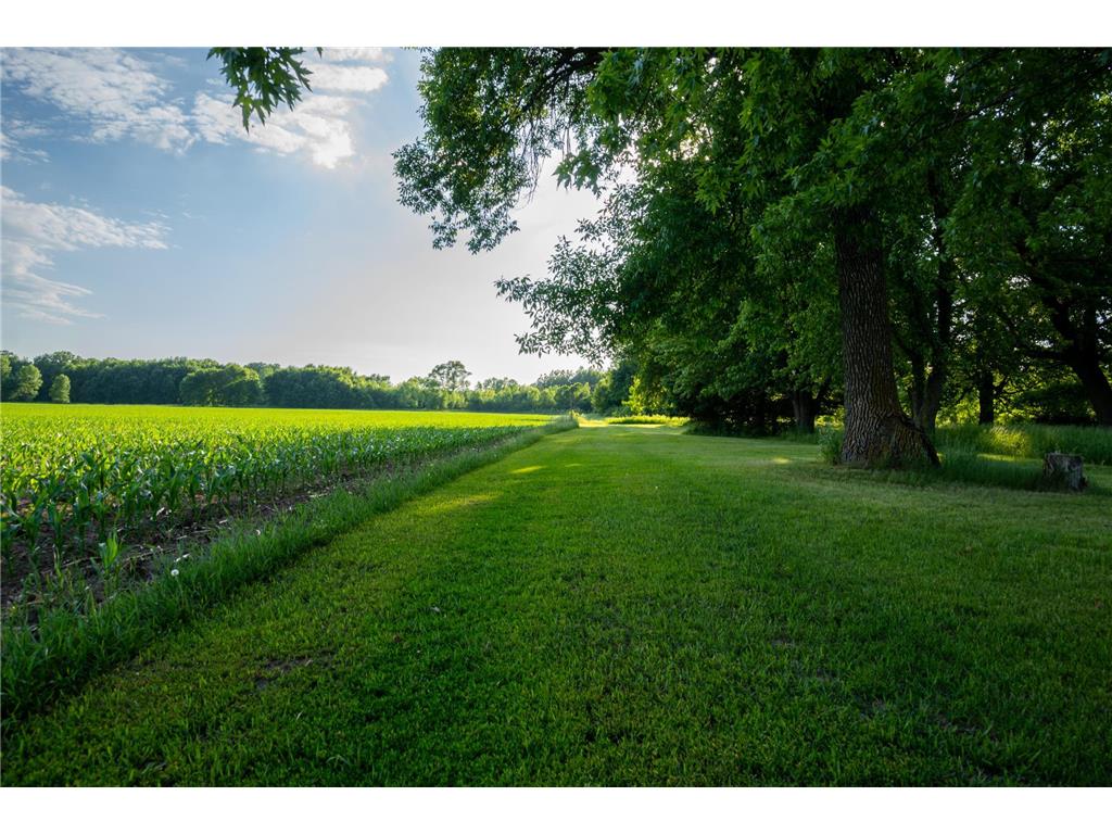 1593 N Pine Cone Road Sartell MN 56377 - Bakers 7092734 image23