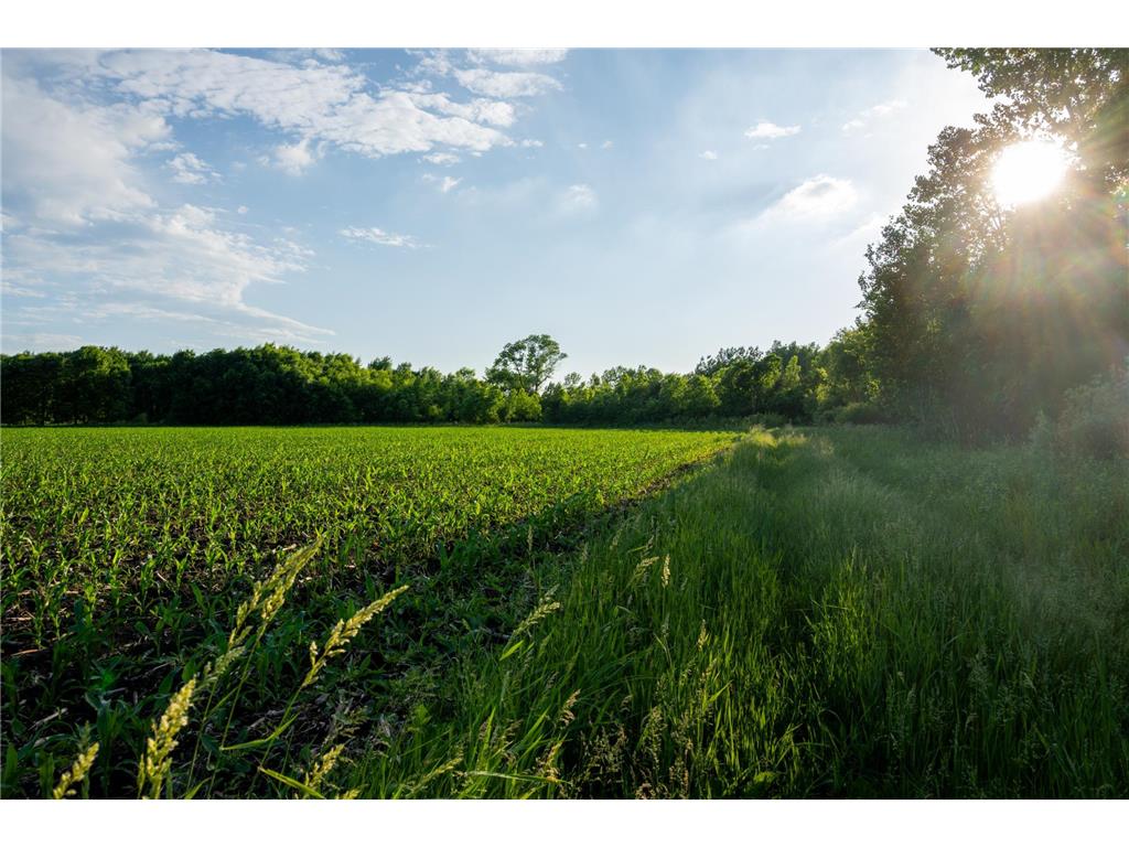 1593 N Pine Cone Road Sartell MN 56377 - Bakers 7092734 image24