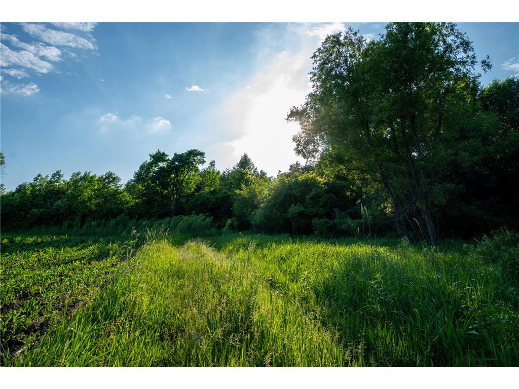 1593 N Pine Cone Road Sartell MN 56377 - Bakers 7092734 image25