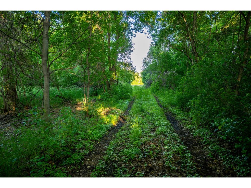 1593 N Pine Cone Road Sartell MN 56377 - Bakers 7092734 image27