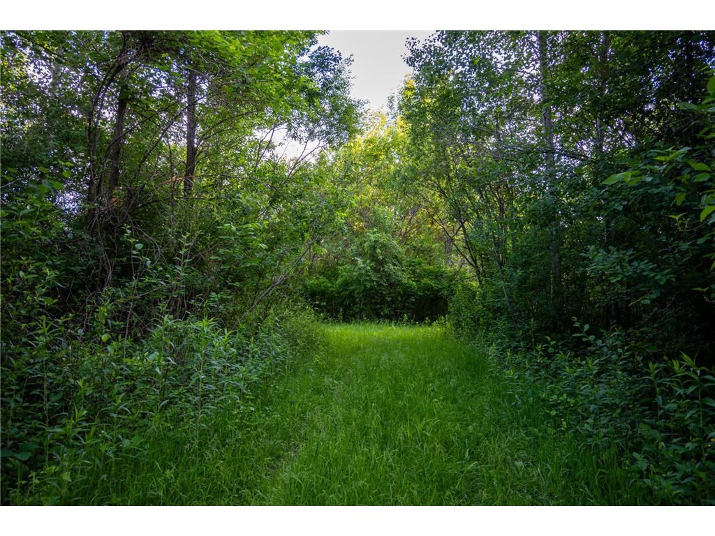 1593 N Pine Cone Road Sartell MN 56377 - Bakers 7092734 image28