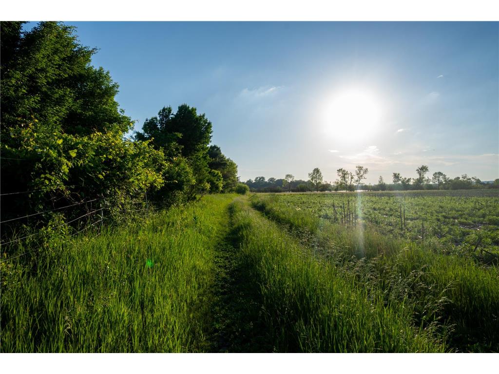 1593 N Pine Cone Road Sartell MN 56377 - Bakers 7092734 image30