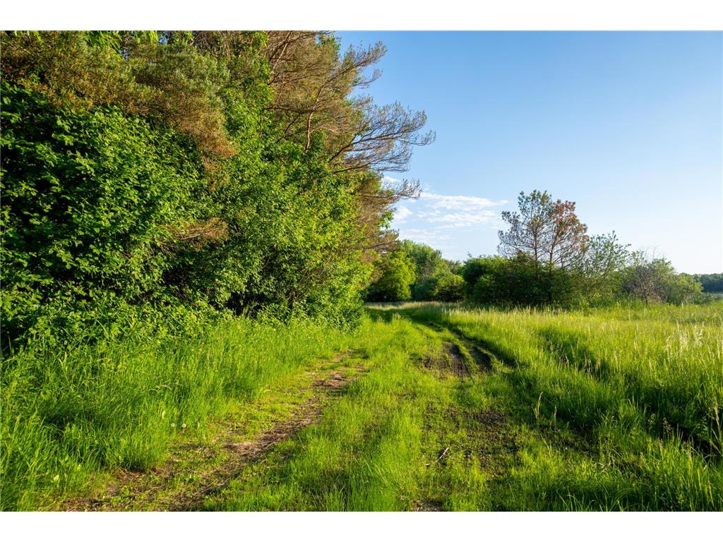 1593 N Pine Cone Road Sartell MN 56377 - Bakers 7092734 image36