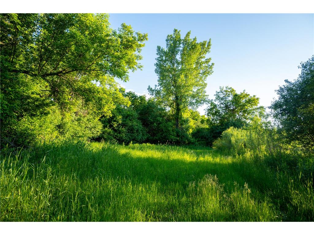 1593 N Pine Cone Road Sartell MN 56377 - Bakers 7092734 image37
