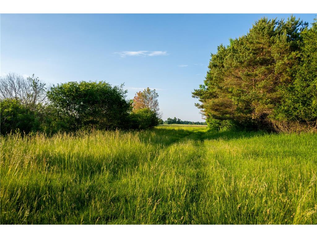 1593 N Pine Cone Road Sartell MN 56377 - Bakers 7092734 image47
