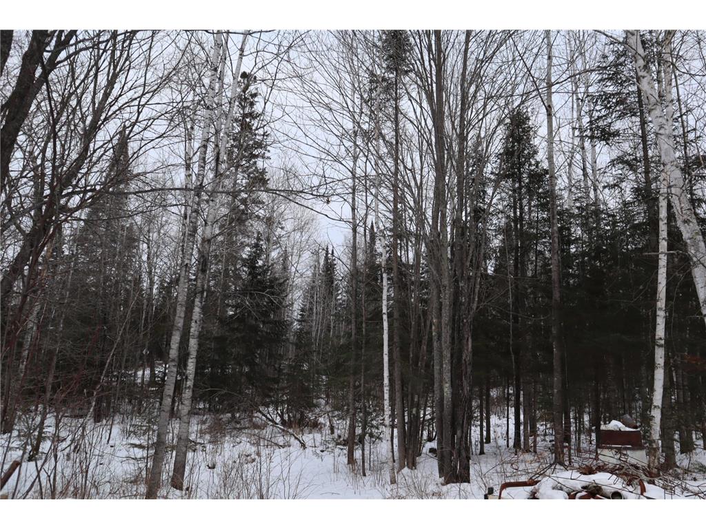 15939 County Road 536 Nashwauk MN 55769 6646352 image19