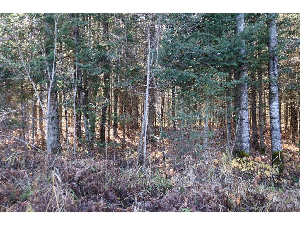 15939 County Road 536 Nashwauk MN 55769 6646352 image40