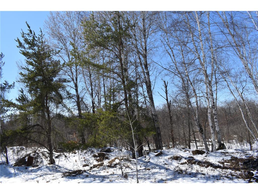 15956 Hines Road Oak Lawn Twp MN 56401 - Sand Creek 7050229 image17