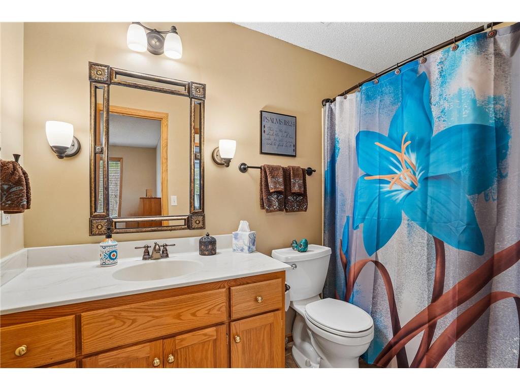 15967 Vale Street NW Andover MN 55304 7053873 image20