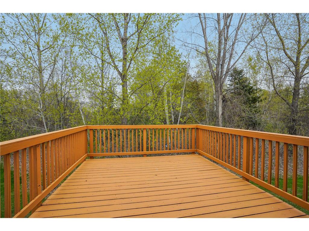15967 Vale Street NW Andover MN 55304 7053873 image37