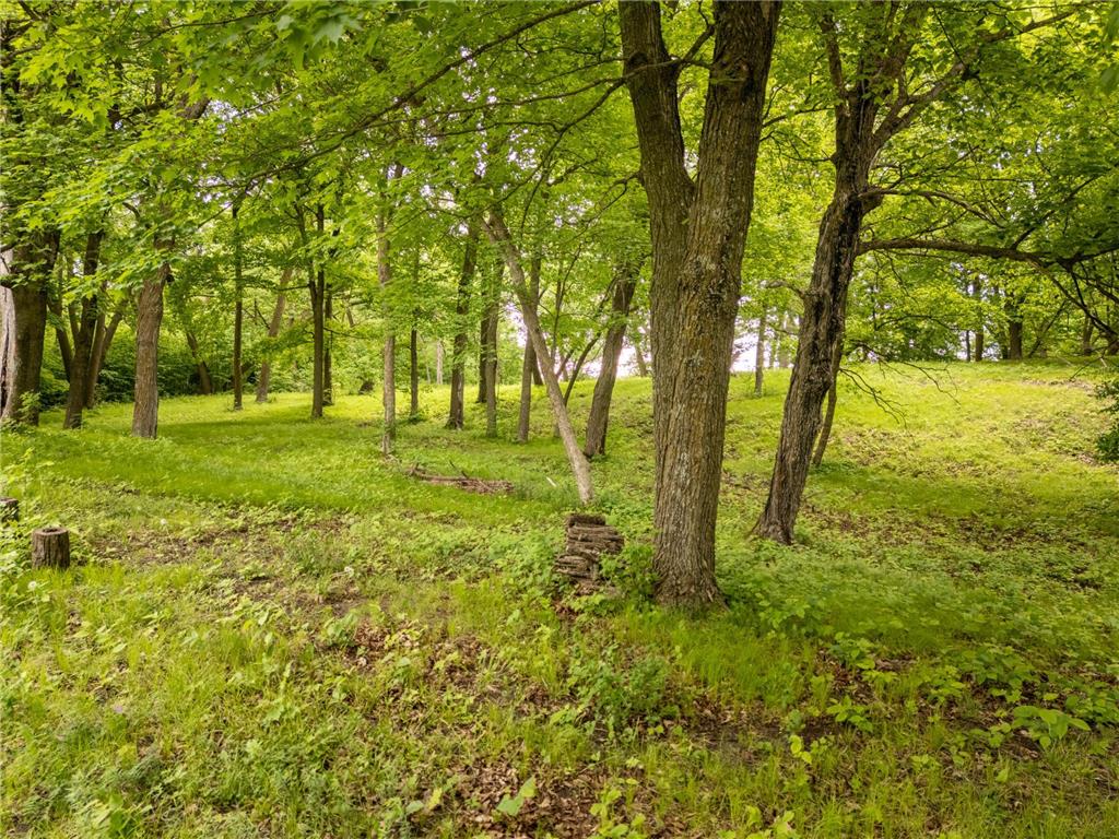 15988 Solitude Court NW Millerville Twp MN 56326 - Stockhaven 7088118 image13