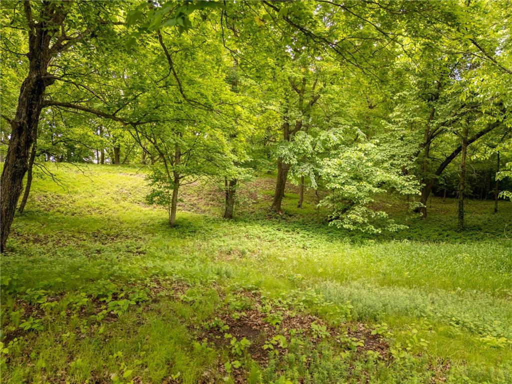 15988 Solitude Court NW Millerville Twp MN 56326 - Stockhaven 7088118 image17