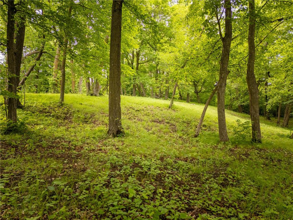 15988 Solitude Court NW Millerville Twp MN 56326 - Stockhaven 7088118 image18