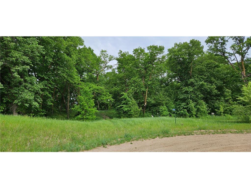 15988 Solitude Court NW Millerville Twp MN 56326 - Stockhaven 7088118 image5