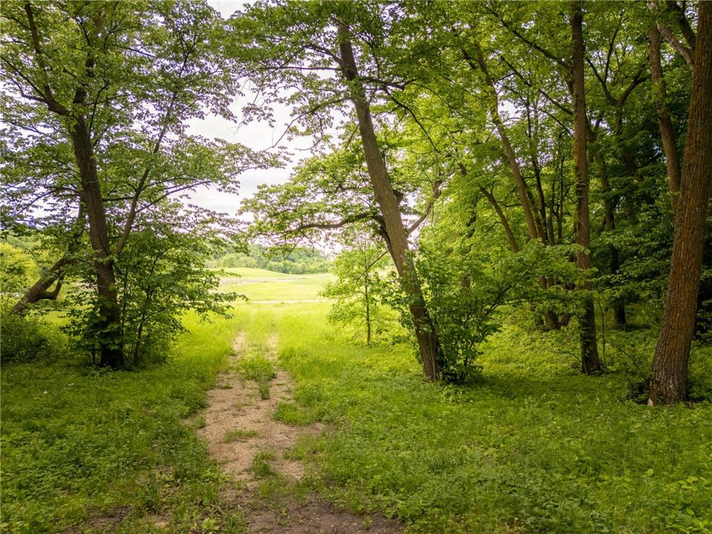 15988 Solitude Court NW Millerville Twp MN 56326 - Stockhaven 7088118 image7