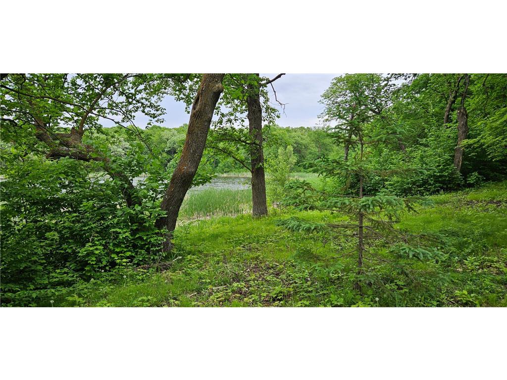 15988 Solitude Court NW Millerville Twp MN 56326 - Stockhaven 7088118 image9