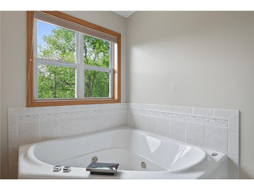 15989 Xeon Street NW Andover MN 55304 7077725 image29