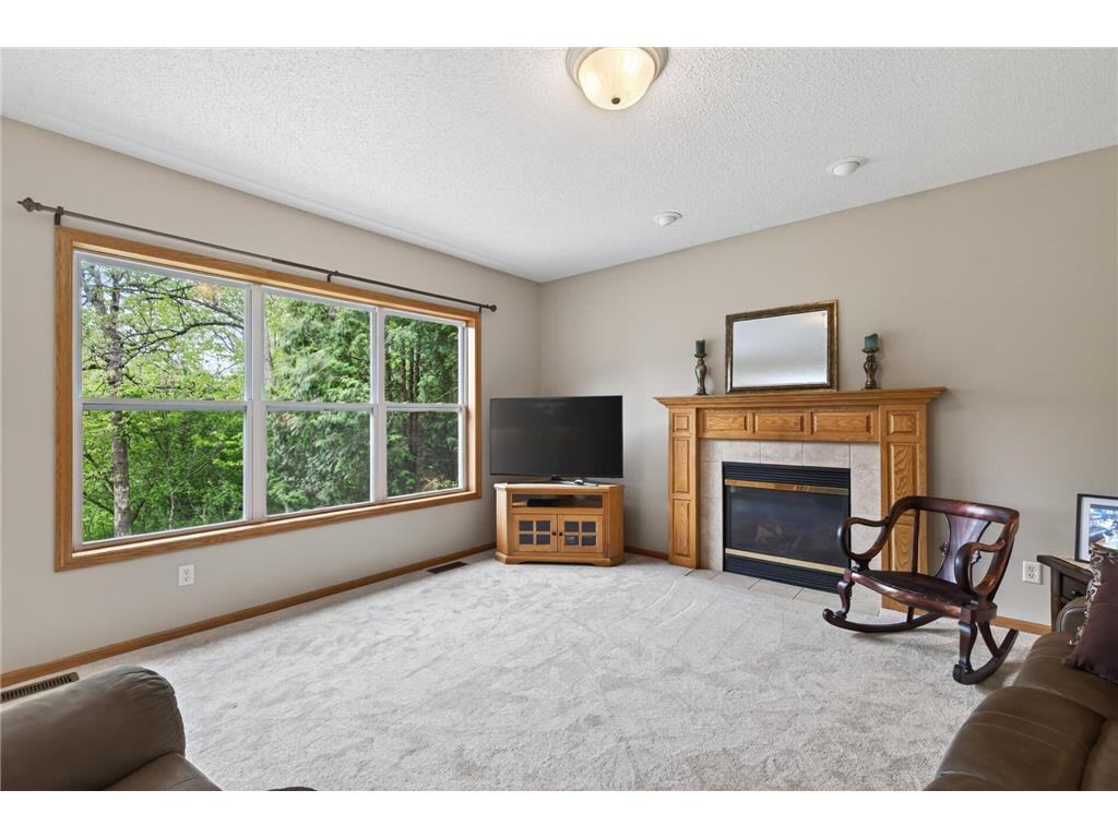 15989 Xeon Street NW Andover MN 55304 7077725 image7