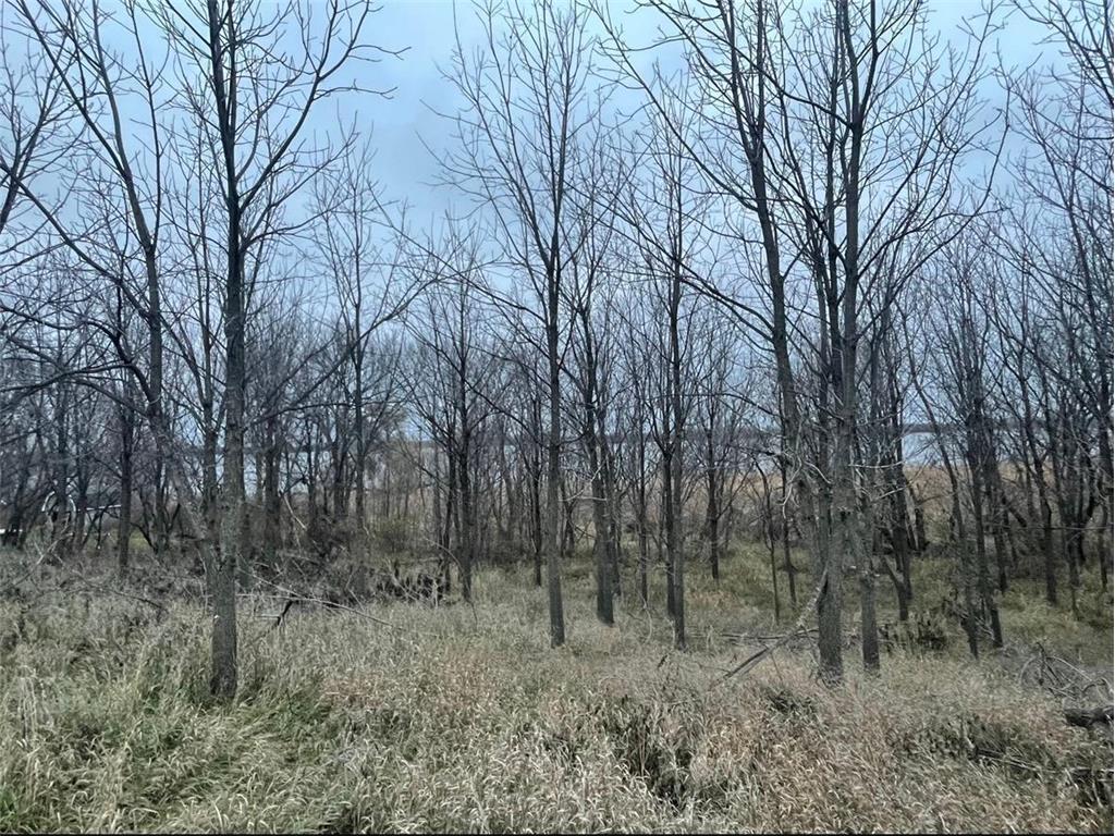 15993 154 Street NE Hawick MN 56273 - Calhoun 6810956 image7