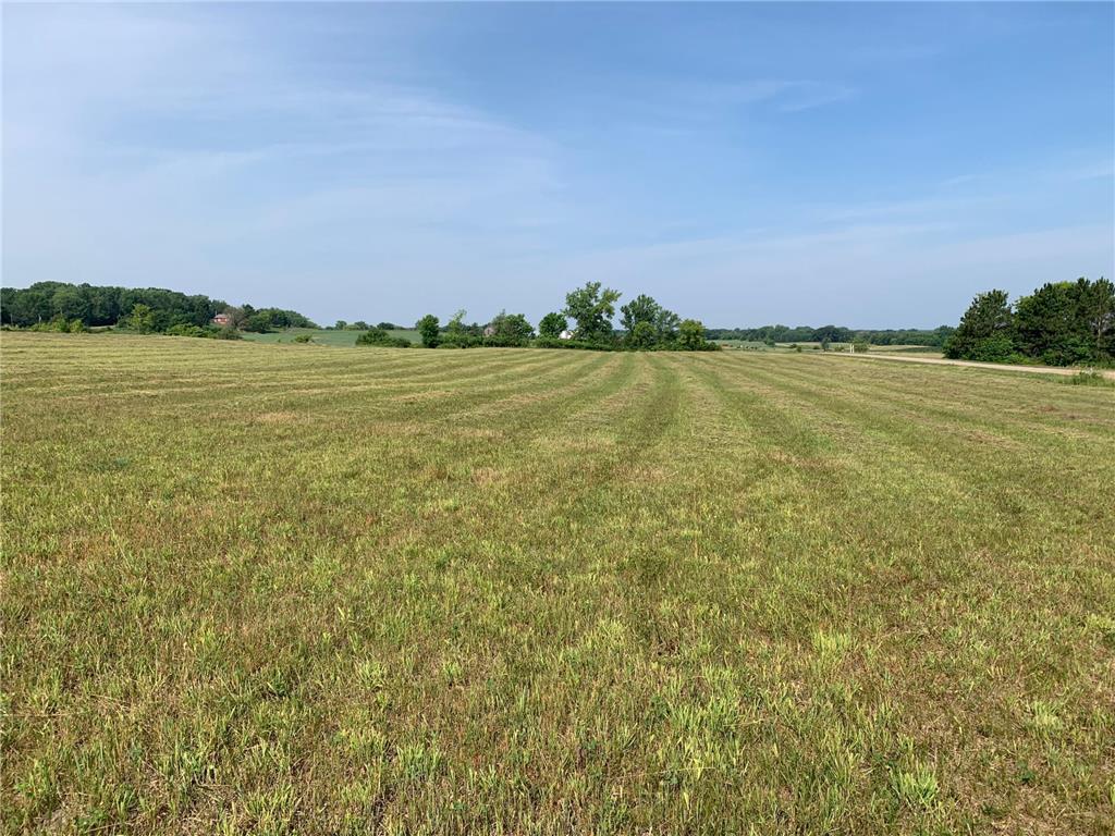 159xx Ingersoll Avenue N Hugo MN 55038 7010708 image10
