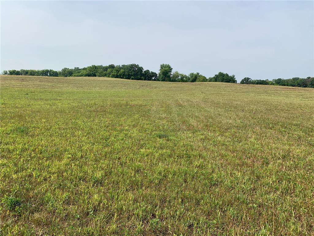 159xx Ingersoll Avenue N Hugo MN 55038 7010708 image11