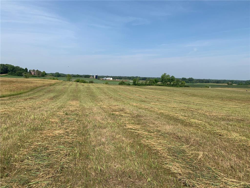 159xx Ingersoll Avenue N Hugo MN 55038 7010708 image12