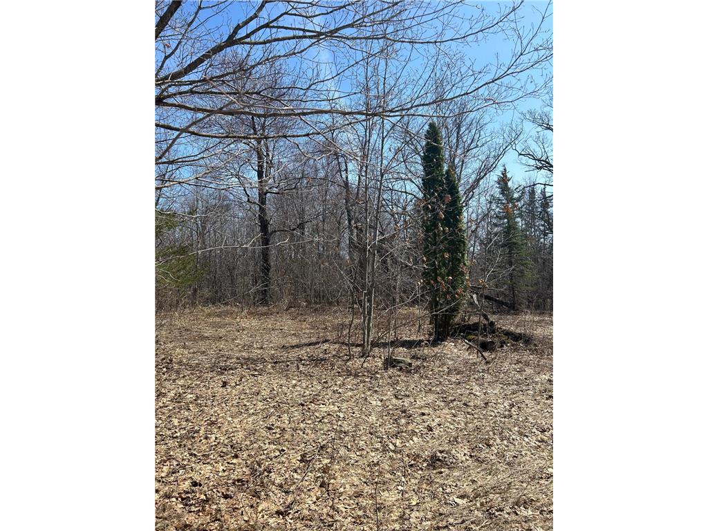 15XXX 392nd Street Amador Twp MN 55012 6323958 image1