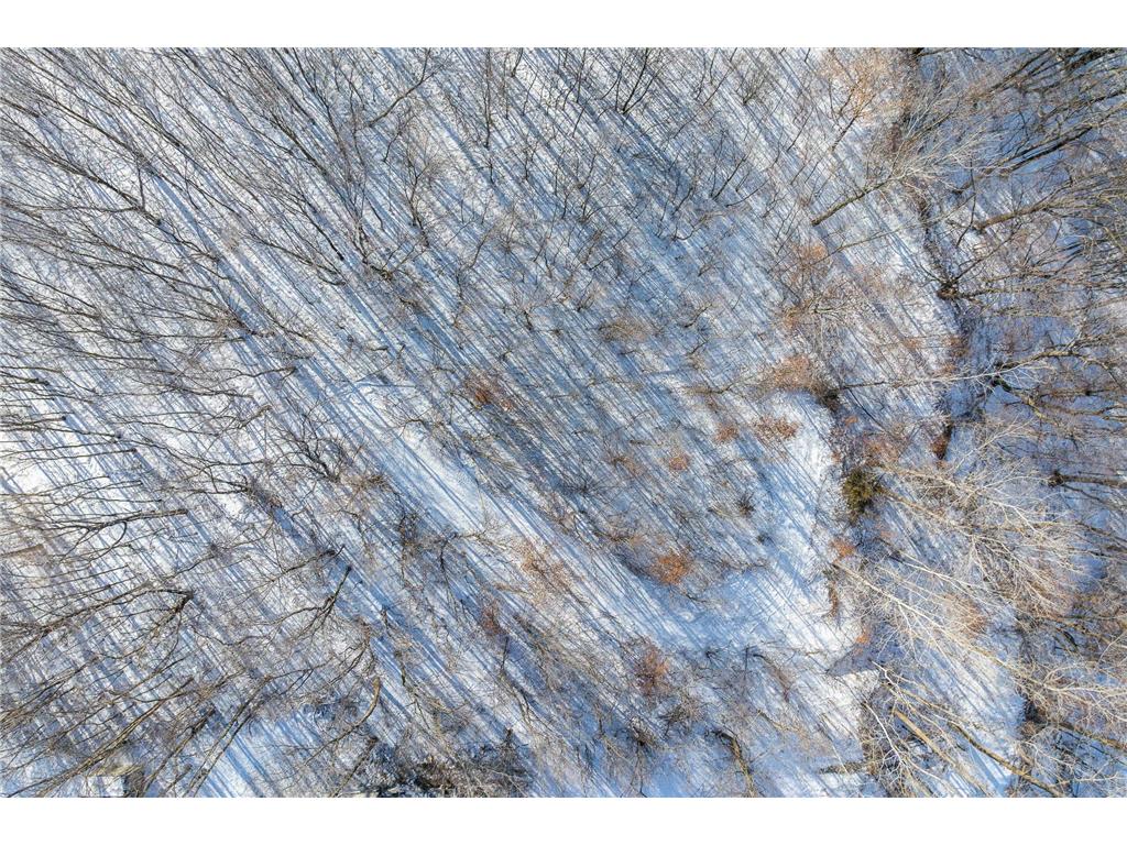 15XXX Camp Winona Trail Faribault MN 55021 - Shields 7011777 image12