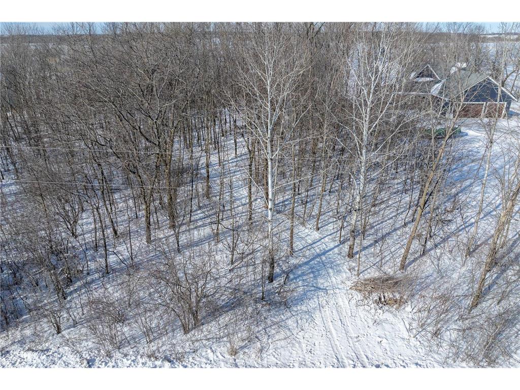 15XXX Camp Winona Trail Faribault MN 55021 - Shields 7011777 image23