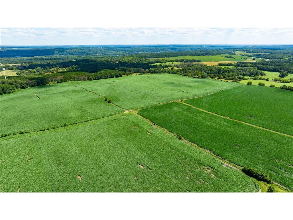 15XXX Paul Avenue N May Twp MN 55047 6746421 image11