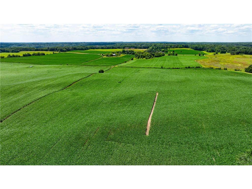 15XXX Paul Avenue N May Twp MN 55047 6746421 image12