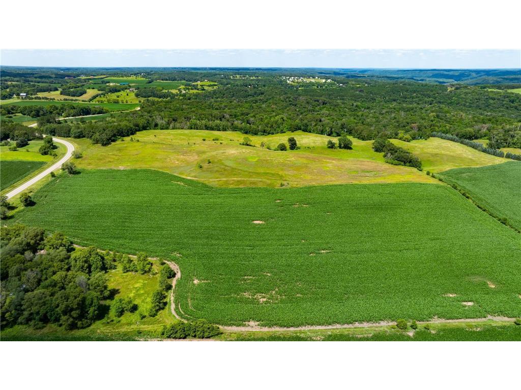 15XXX Paul Avenue N May Twp MN 55047 6746421 image13