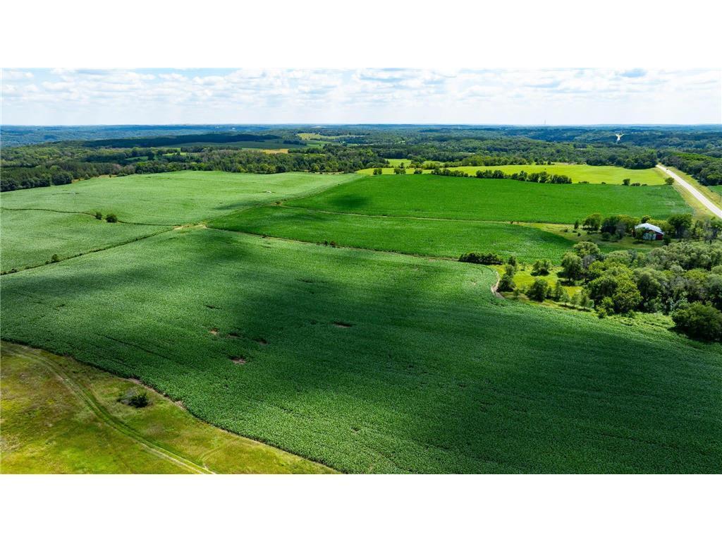 15XXX Paul Avenue N May Twp MN 55047 6746421 image5