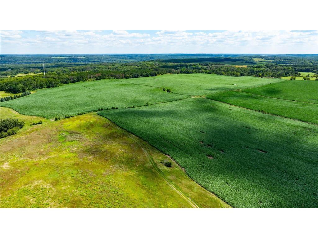 15XXX Paul Avenue N May Twp MN 55047 6746421 image6