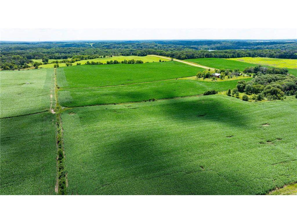 15XXX Paul Avenue N May Twp MN 55047 6746421 image8